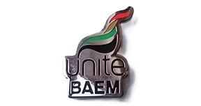 BAEM image 2